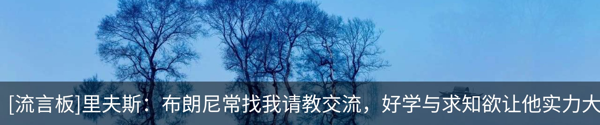 最新动态